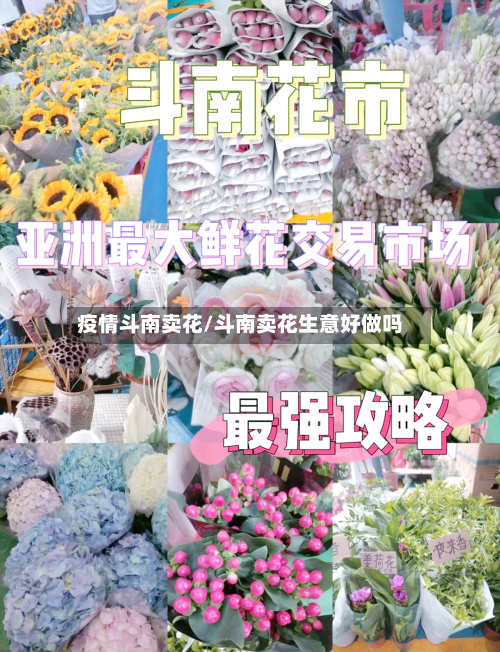 疫情斗南卖花/斗南卖花生意好做吗-第2张图片