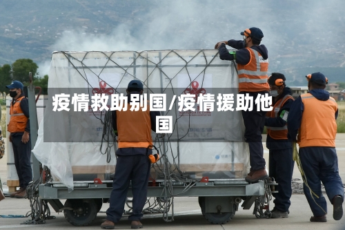 疫情救助别国/疫情援助他国-第2张图片