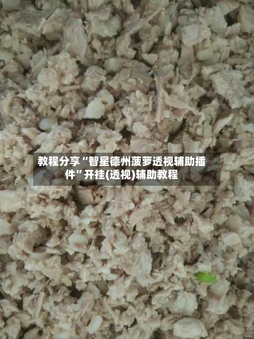 教程分享“智星德州菠萝透视辅助插件”开挂(透视)辅助教程-第1张图片