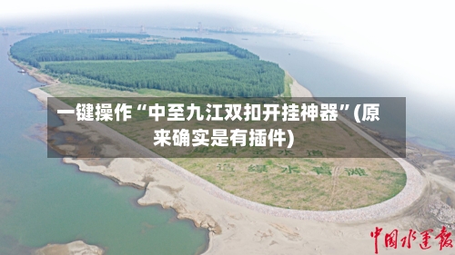 一键操作“中至九江双扣开挂神器	”(原来确实是有插件)-第2张图片