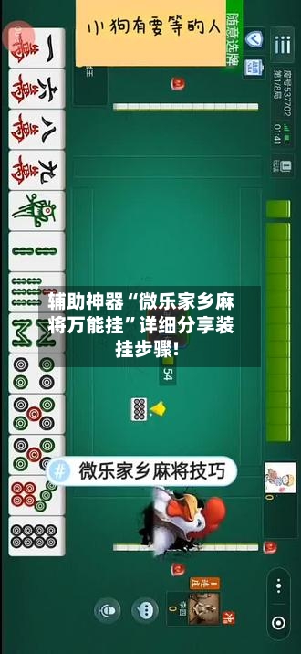 辅助神器“微乐家乡麻将万能挂”详细分享装挂步骤!-第3张图片