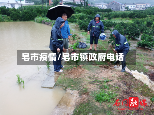 皂市疫情/皂市镇政府电话-第3张图片