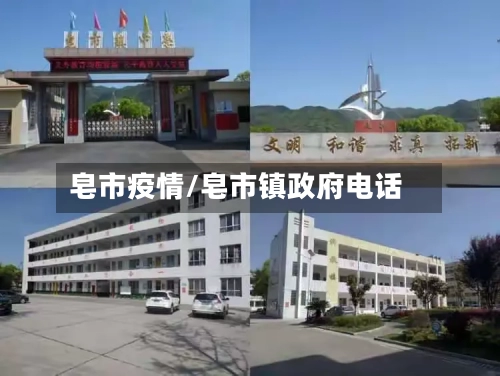 皂市疫情/皂市镇政府电话-第1张图片