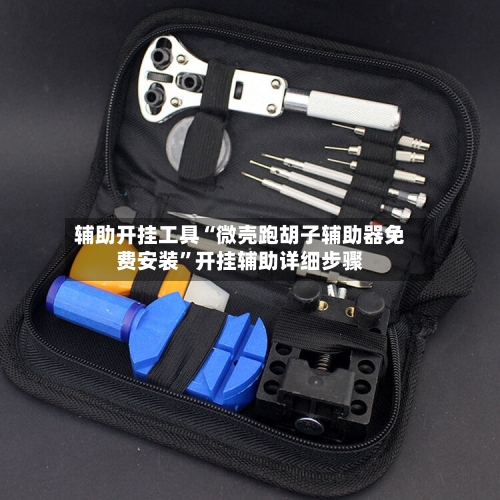 辅助开挂工具“微壳跑胡子辅助器免费安装”开挂辅助详细步骤-第1张图片