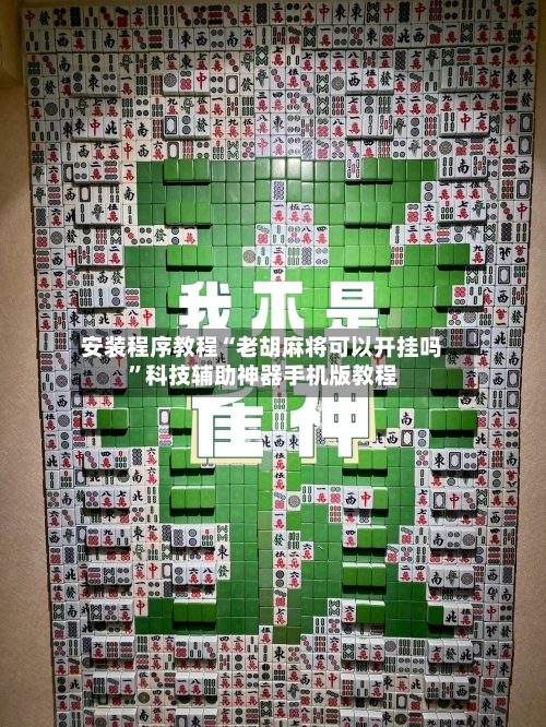 安装程序教程“老胡麻将可以开挂吗”科技辅助神器手机版教程-第2张图片