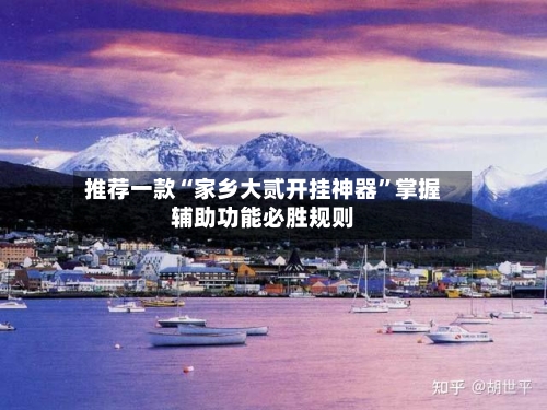 推荐一款“家乡大贰开挂神器”掌握辅助功能必胜规则