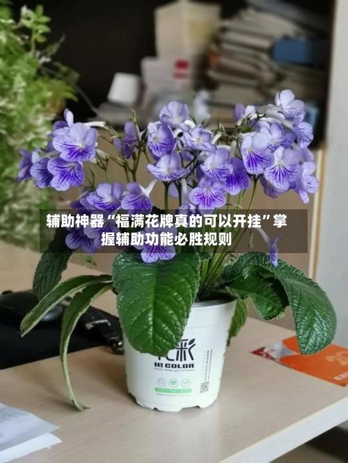 辅助神器“福满花牌真的可以开挂”掌握辅助功能必胜规则