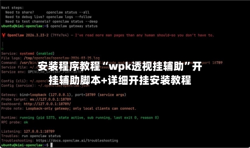 安装程序教程“wpk透视挂辅助”开挂辅助脚本+详细开挂安装教程-第1张图片