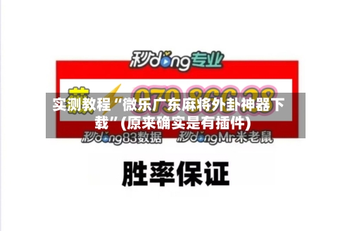 实测教程“微乐广东麻将外卦神器下载”(原来确实是有插件)-第1张图片