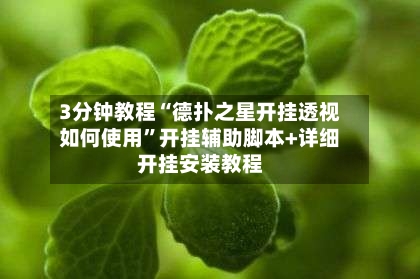 3分钟教程“德扑之星开挂透视如何使用”开挂辅助脚本+详细开挂安装教程-第2张图片