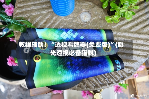 教程辅助！“透视看牌器(免费版)”(曝光透视必备猫腻)-第1张图片