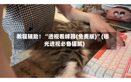 教程辅助！“透视看牌器(免费版)	”(曝光透视必备猫腻)-第2张图片