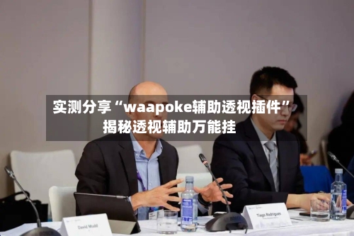 实测分享“waapoke辅助透视插件	”揭秘透视辅助万能挂-第1张图片