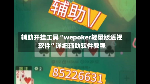 辅助开挂工具“wepoker轻量版透视软件”详细辅助软件教程-第2张图片