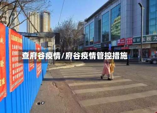 查府谷疫情/府谷疫情管控措施-第3张图片