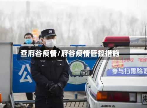 查府谷疫情/府谷疫情管控措施-第1张图片