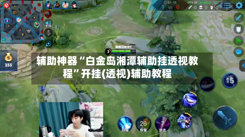 辅助神器“白金岛湘潭辅助挂透视教程”开挂(透视)辅助教程-第1张图片