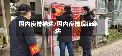 国内疫情描述/国内疫情现状综述-第1张图片