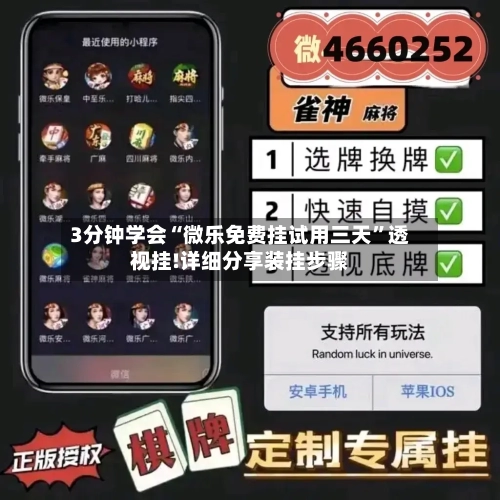 3分钟学会“微乐免费挂试用三天”透视挂!详细分享装挂步骤-第1张图片