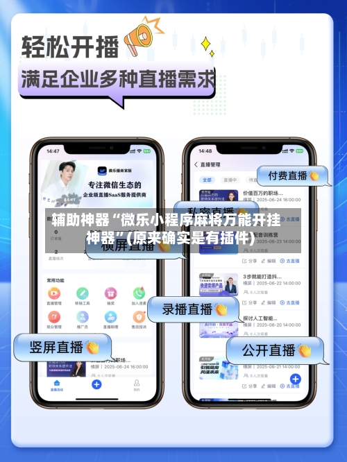 辅助神器“微乐小程序麻将万能开挂神器”(原来确实是有插件)-第2张图片