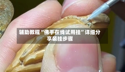 辅助教程“佛手在线试用挂”详细分享装挂步骤-第1张图片