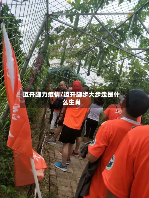 迈开脚力疫情/迈开脚步大步走是什么生肖-第1张图片