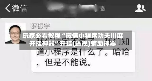 玩家必看教程“微信小程序功夫川麻开挂神器”开挂(透视)辅助神器-第1张图片