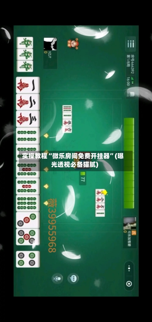 实操教程“微乐房间免费开挂器”(曝光透视必备猫腻)-第1张图片