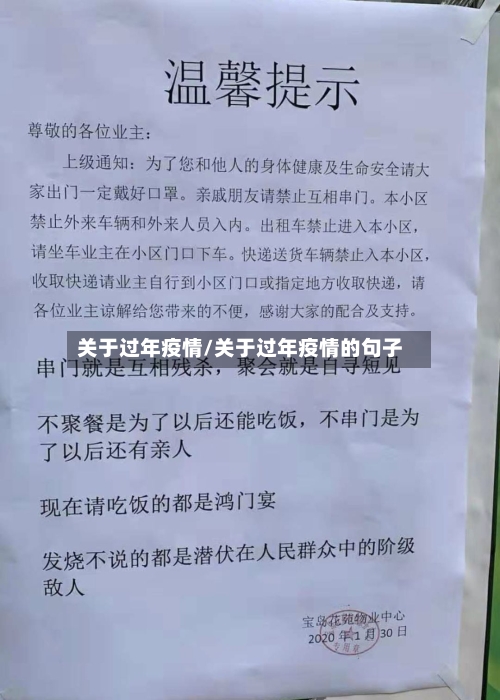 关于过年疫情/关于过年疫情的句子-第1张图片