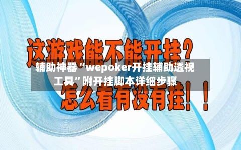 辅助神器“wepoker开挂辅助透视工具”附开挂脚本详细步骤-第1张图片