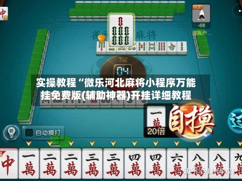 实操教程“微乐河北麻将小程序万能挂免费版(辅助神器)开挂详细教程-第2张图片