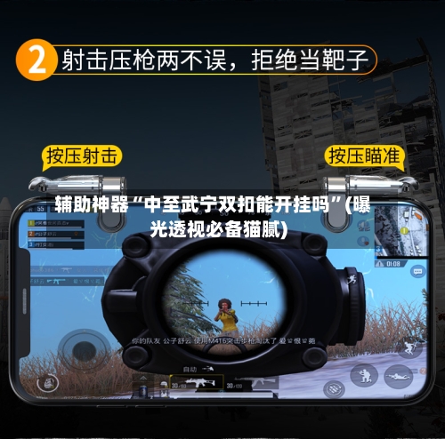 辅助神器“中至武宁双扣能开挂吗”(曝光透视必备猫腻)-第3张图片