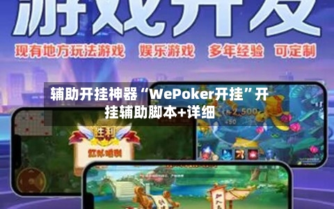 辅助开挂神器“WePoker开挂”开挂辅助脚本+详细-第3张图片