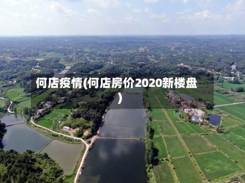 何店疫情(何店房价2020新楼盘)-第2张图片