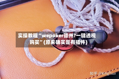 实操教程“wepoker德州?一键透视购买	”(原来确实是有插件)-第3张图片