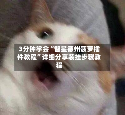 3分钟学会“智星德州菠萝插件教程”详细分享装挂步骤教程-第2张图片