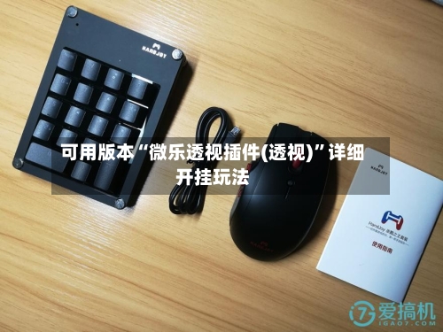 可用版本“微乐透视插件(透视)”详细开挂玩法-第2张图片