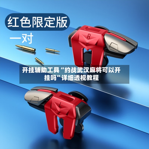 开挂辅助工具“约战武汉麻将可以开挂吗”详细透视教程-第1张图片