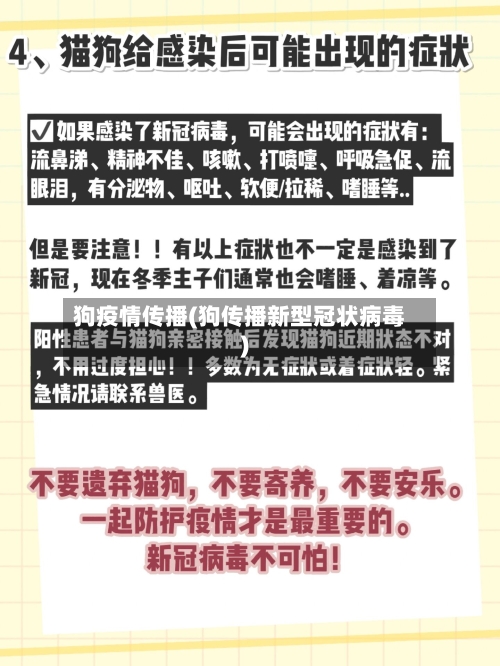 狗疫情传播(狗传播新型冠状病毒)-第1张图片