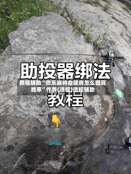 教程辅助“微乐麻将自建房怎么提高胜率	”作弊(透视)透视辅助-第1张图片