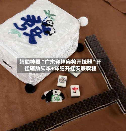 辅助神器“广东雀神麻将开挂器”开挂辅助脚本+详细开挂安装教程-第1张图片