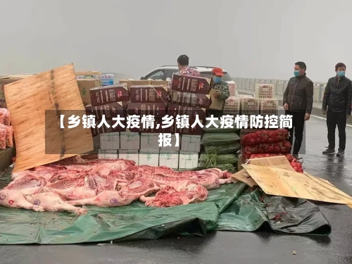 【乡镇人大疫情,乡镇人大疫情防控简报】