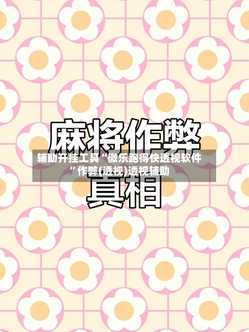 辅助开挂工具“微乐跑得快透视软件”作弊(透视)透视辅助-第2张图片