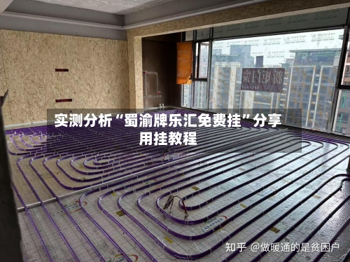 实测分析“蜀渝牌乐汇免费挂”分享用挂教程-第2张图片
