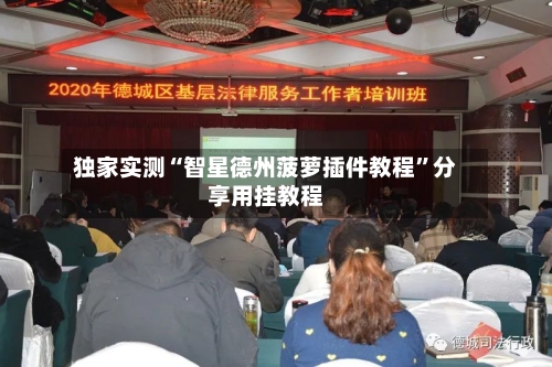 独家实测“智星德州菠萝插件教程	”分享用挂教程-第1张图片