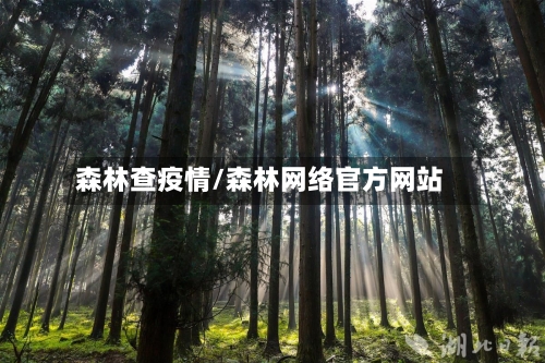 森林查疫情/森林网络官方网站-第1张图片