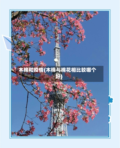 木棉和疫情(木棉与棉花相比较哪个好)-第1张图片