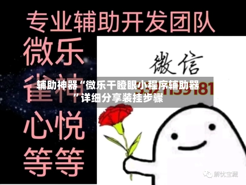 辅助神器“微乐干瞪眼小程序辅助器	”详细分享装挂步骤-第1张图片
