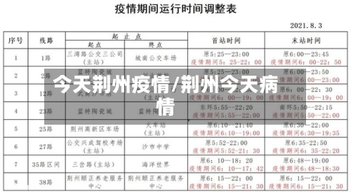 今天荆州疫情/荆州今天病情-第2张图片