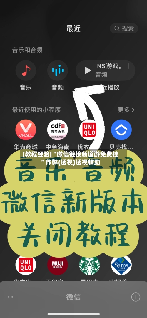 [教程经验]“微信链接新道游免费挂”作弊(透视)透视辅助-第3张图片